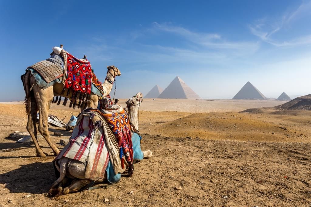 Найти туры в Египет онлайн – турагентство ServiceInEgypt